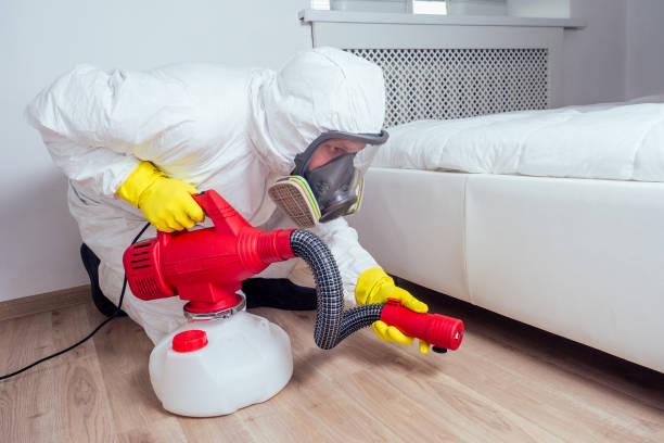 Best Bed Bug Extermination  in Center Moriches, NY