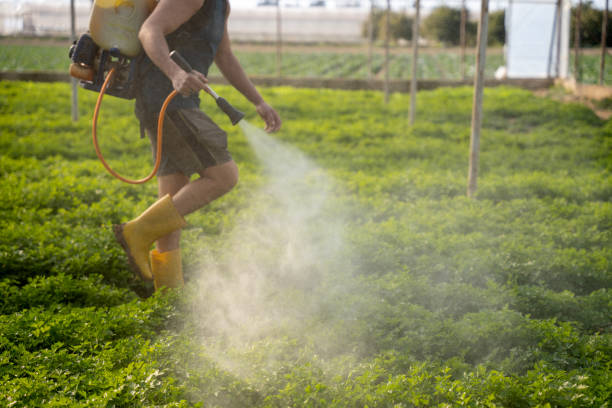 Pest Control for Restaurants in Center Moriches, NY